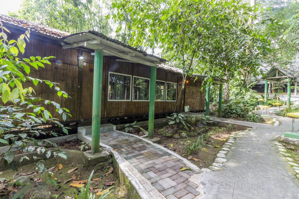 Hosteria El Paraiso De Las Orquideas Archidona Exterior photo
