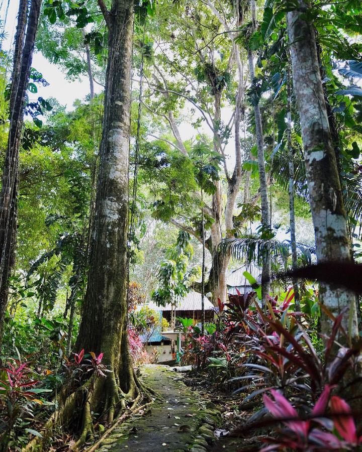 Hosteria El Paraiso De Las Orquideas Archidona Exterior photo